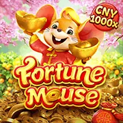 Điều Khoản & Điều Kiện