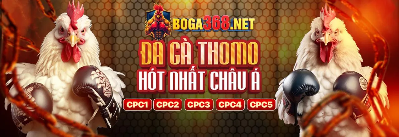 Đá Gà Trực Tuyến Hấp Dẫn tại 88xeng
